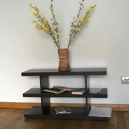 Anna Apartment Timisoara